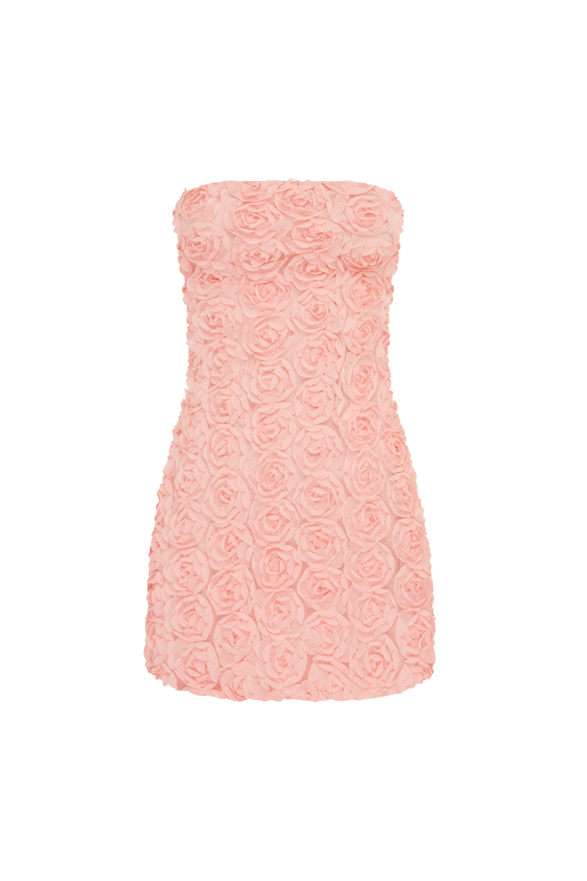 Rosalıne Mini Elbise - Pembe